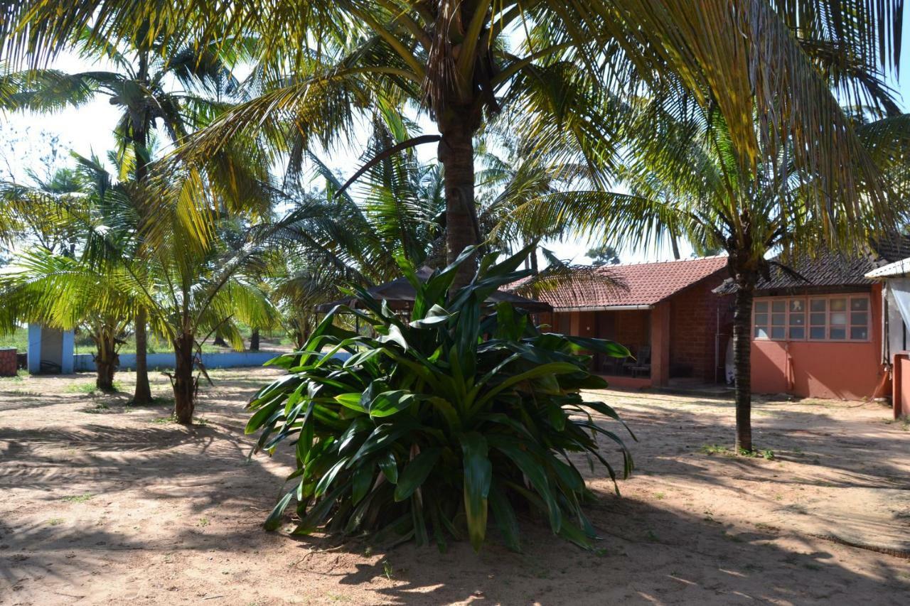 O Camarao Hotell Calangute Exteriör bild