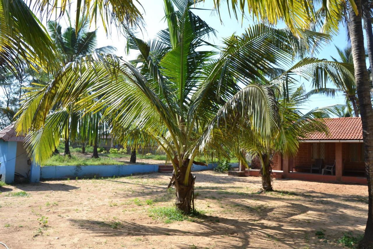 O Camarao Hotell Calangute Exteriör bild